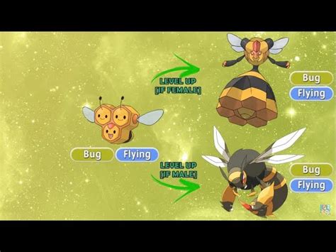 Beedrill Location, Learnset, and Evolution .